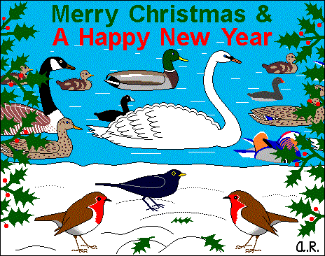 Animated Christmas Card