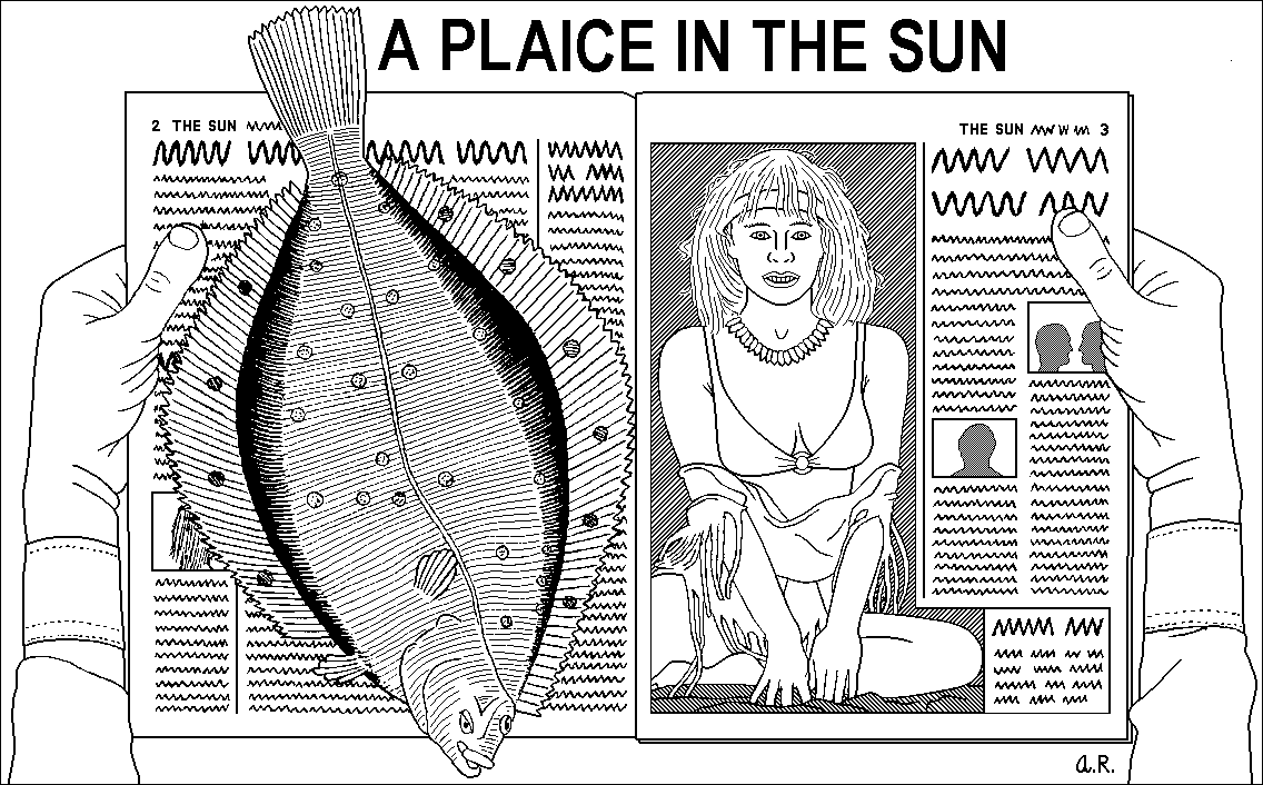 A Plaice In The Sun