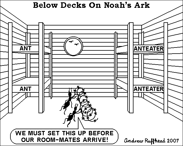 Below Decks On Noah's Ark