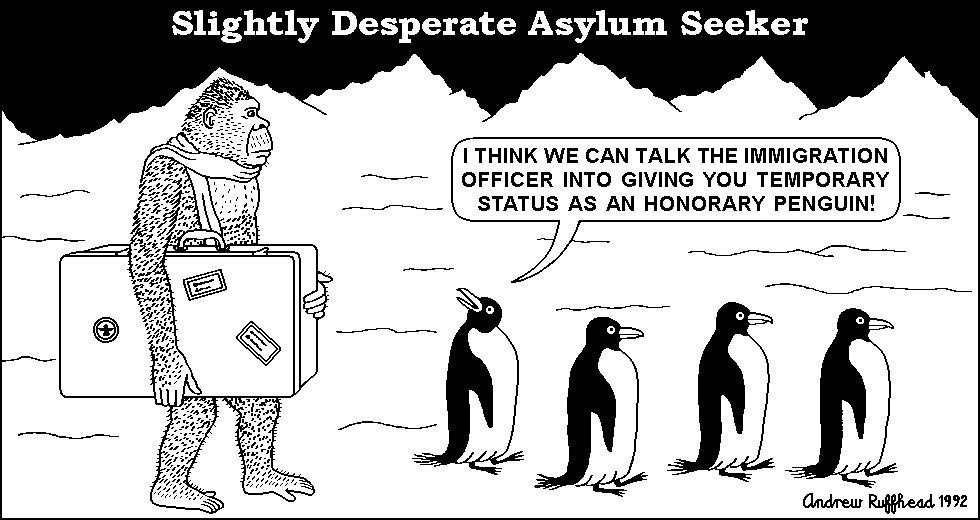 Asylum Seeker
